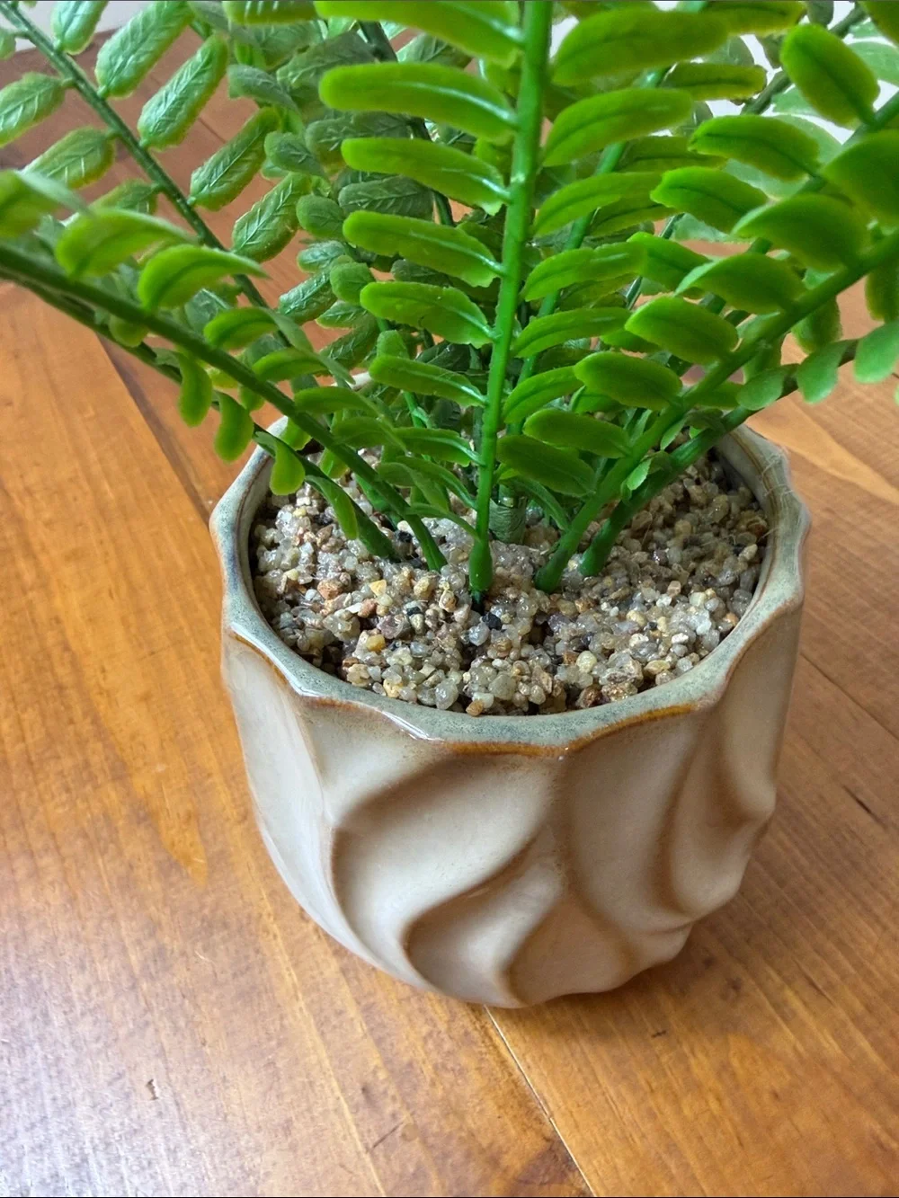 Faux Fern | Cream Tan Textured Ceramic Pot | Minimalist | Houseplant | Green